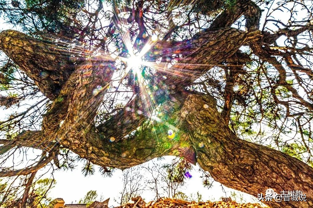 晋城龙凤山,晋城龙凤湖