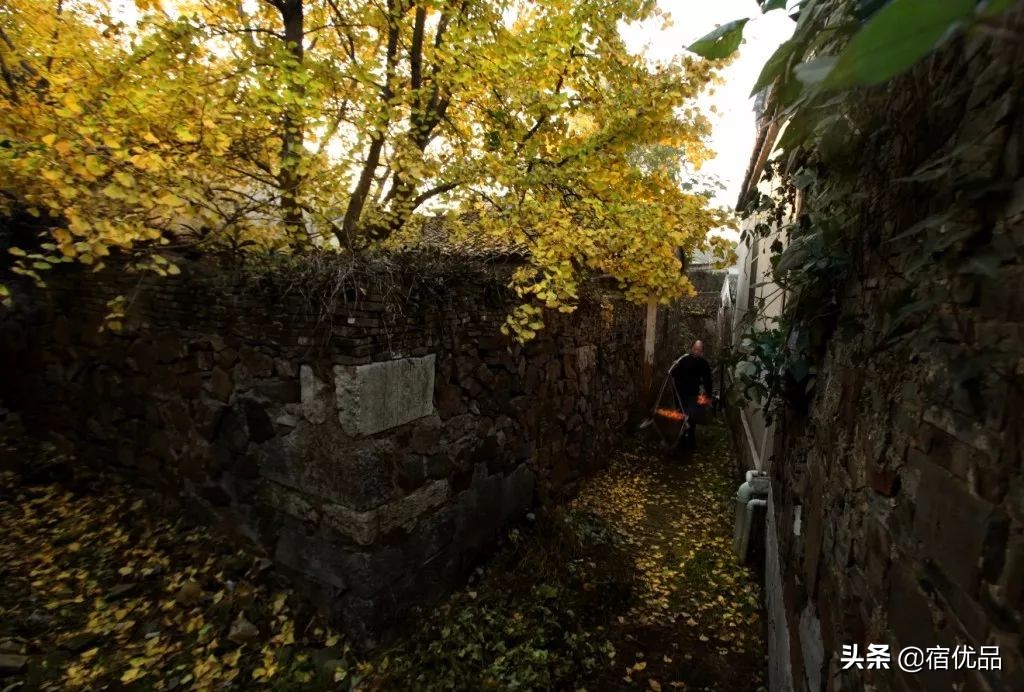 32张美景图片,苏州东山西山风景区哪个更值得去