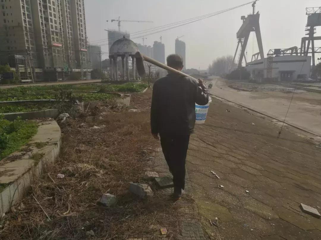 武穴又到挖野菜的时候了,江边好多人都在挖野菜,你吃了吗?