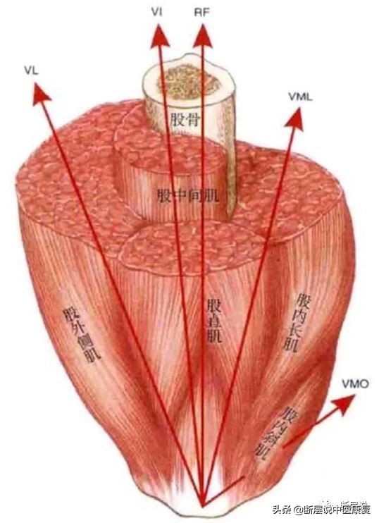 天气冷运动护膝推荐哪种,天气冷了保暖护膝