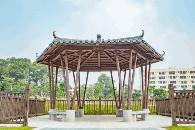 人少还免门票！深圳这片5000000㎡新公园美翻了，“神仙花谷”