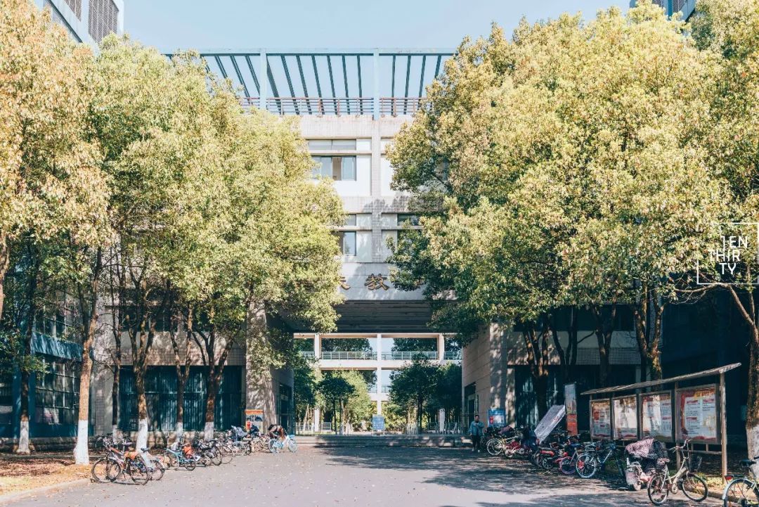 湖北经济学院为什么叫藏龙岛,湖北经济学院在江夏藏龙岛吗