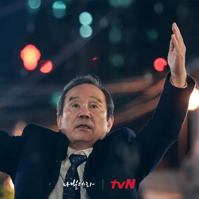 豆瓣评分9.5以上的治愈书,治愈系列电影豆瓣