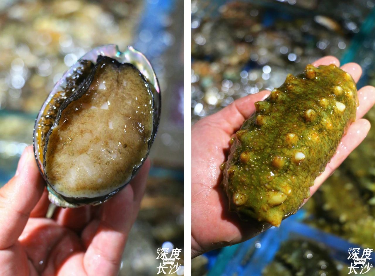 徐记海鲜460能吃到什么,徐记海鲜378