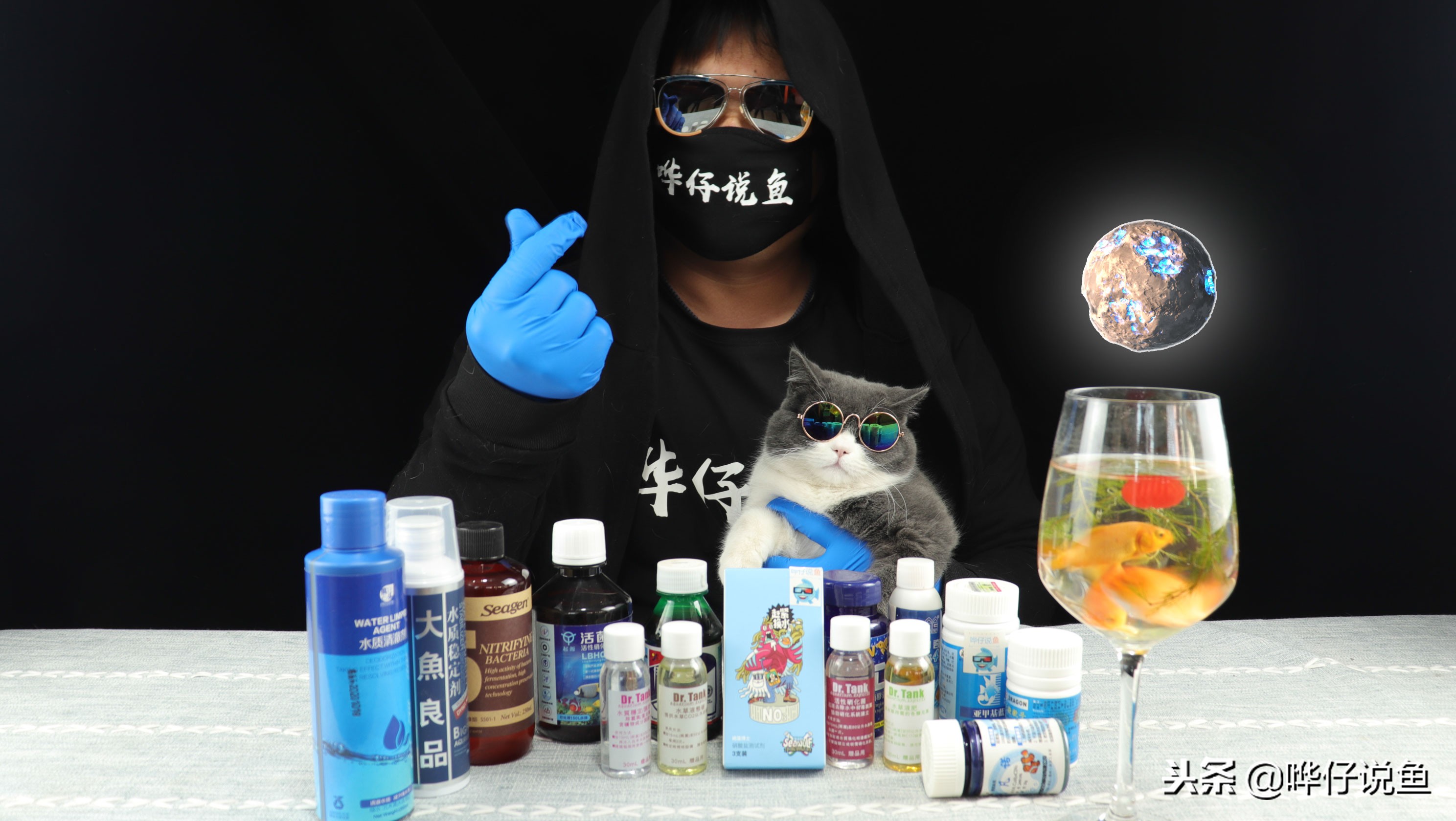 如何能把宠物鱼养好呢,养观赏鱼不死鱼的三个绝招