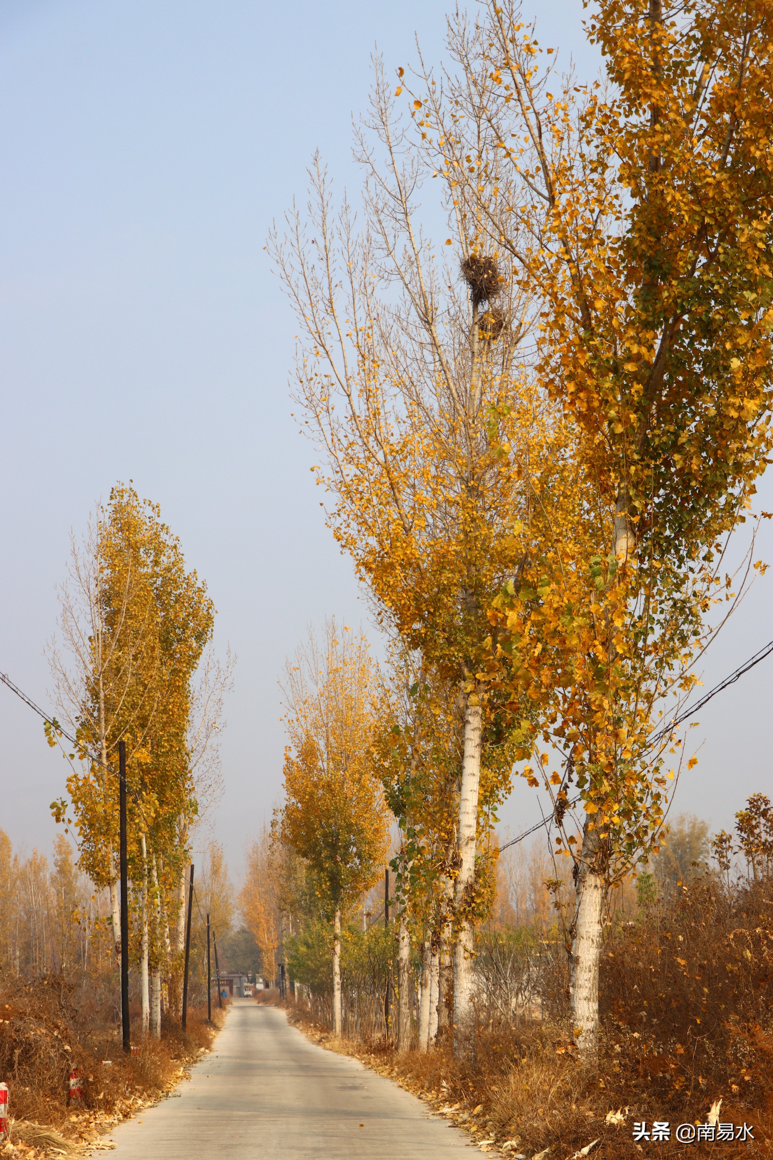 家乡风景带你一起感受自然的味道,令你难以忘怀的家乡的味道