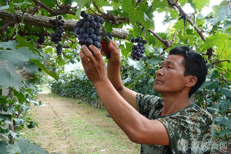 百乡千村调研活动,百县千镇万村高质量发展调研表