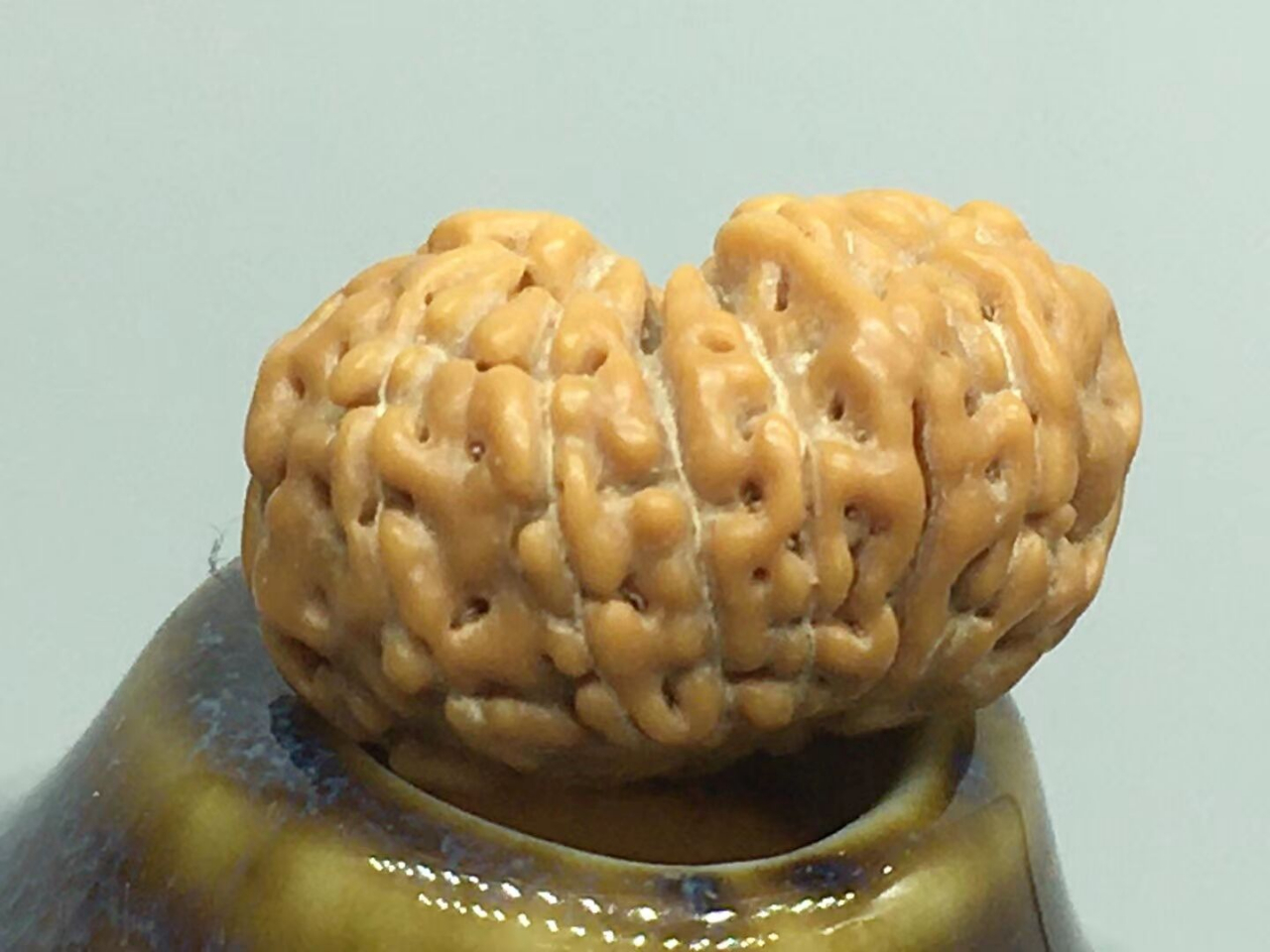 5瓣和6瓣金刚哪个值钱,金刚几瓣的最有价值