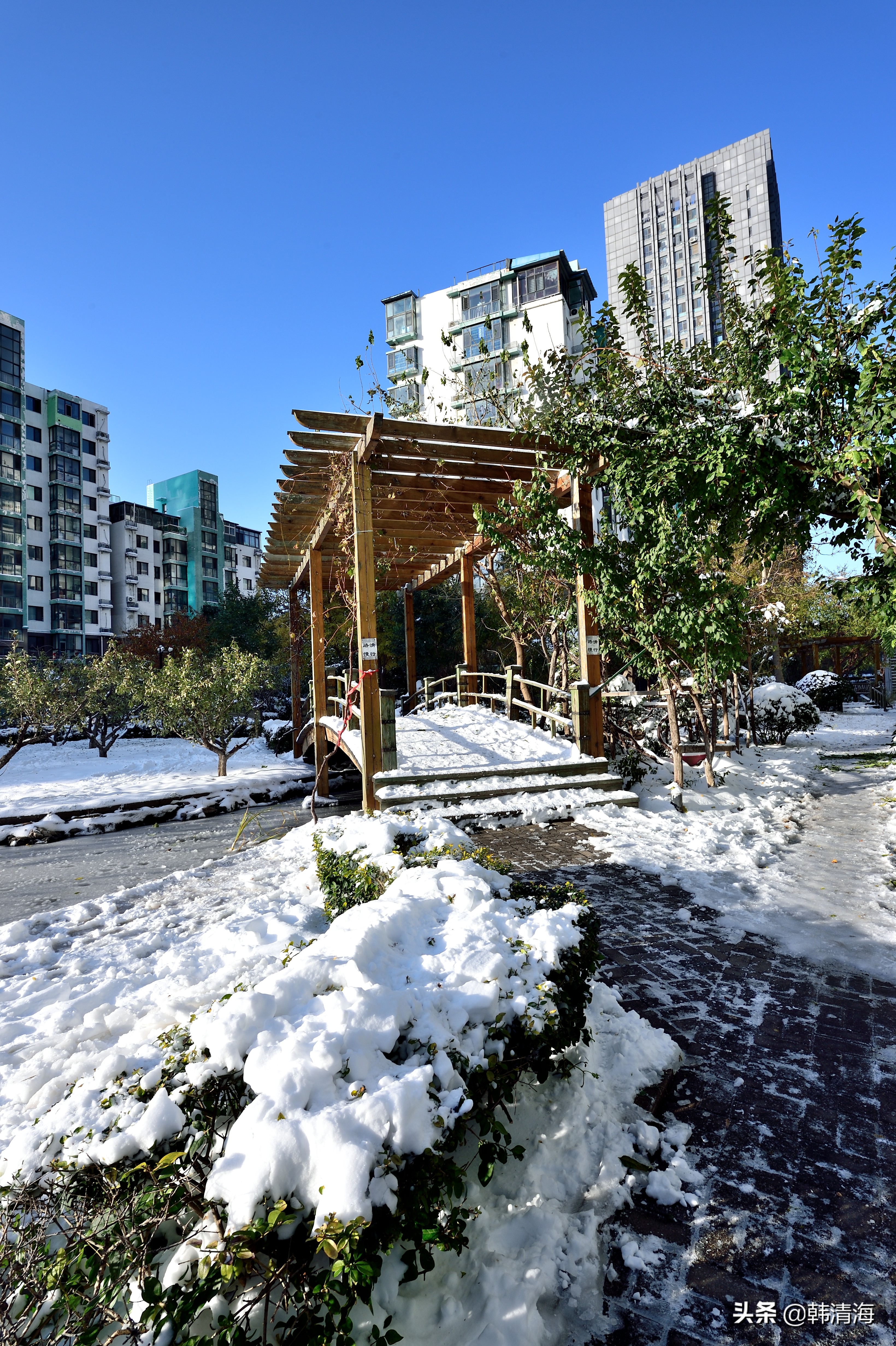 天津2022年雪景,天津第一场雪的美景