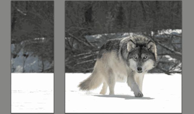 jpg图片批量裁切,如何快速批量裁切图片