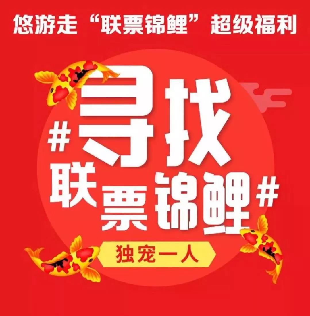 春节去旅行请收下这份防坑指南,春节旅行值得去的七大目的地