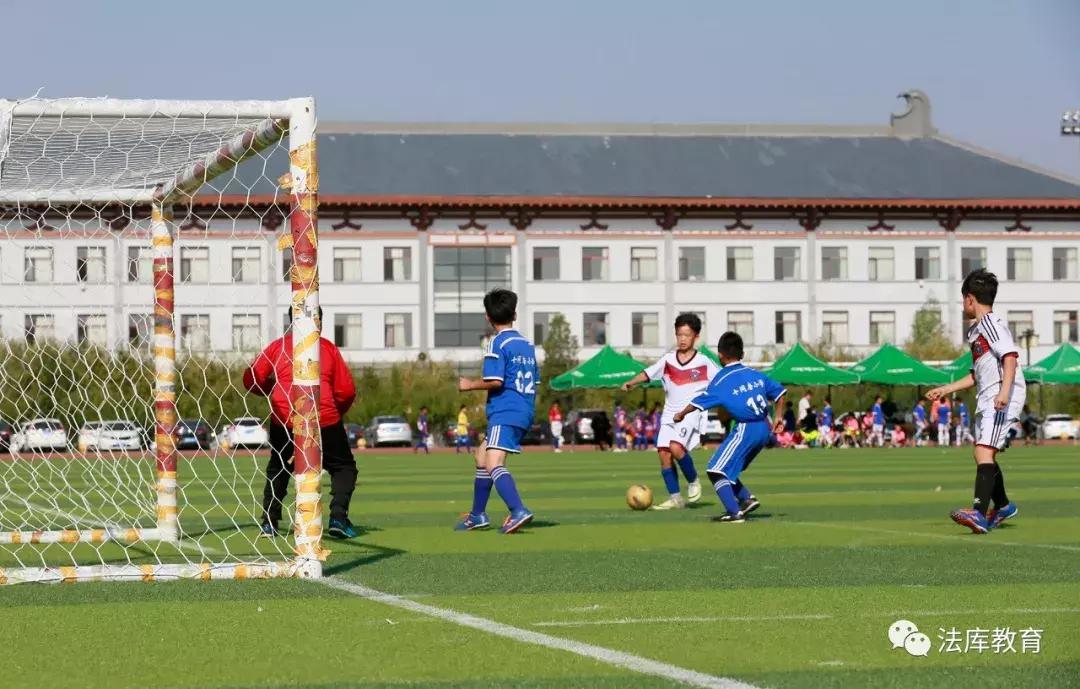 青少年足球联赛沈阳,2024沈阳市中小学足球联赛