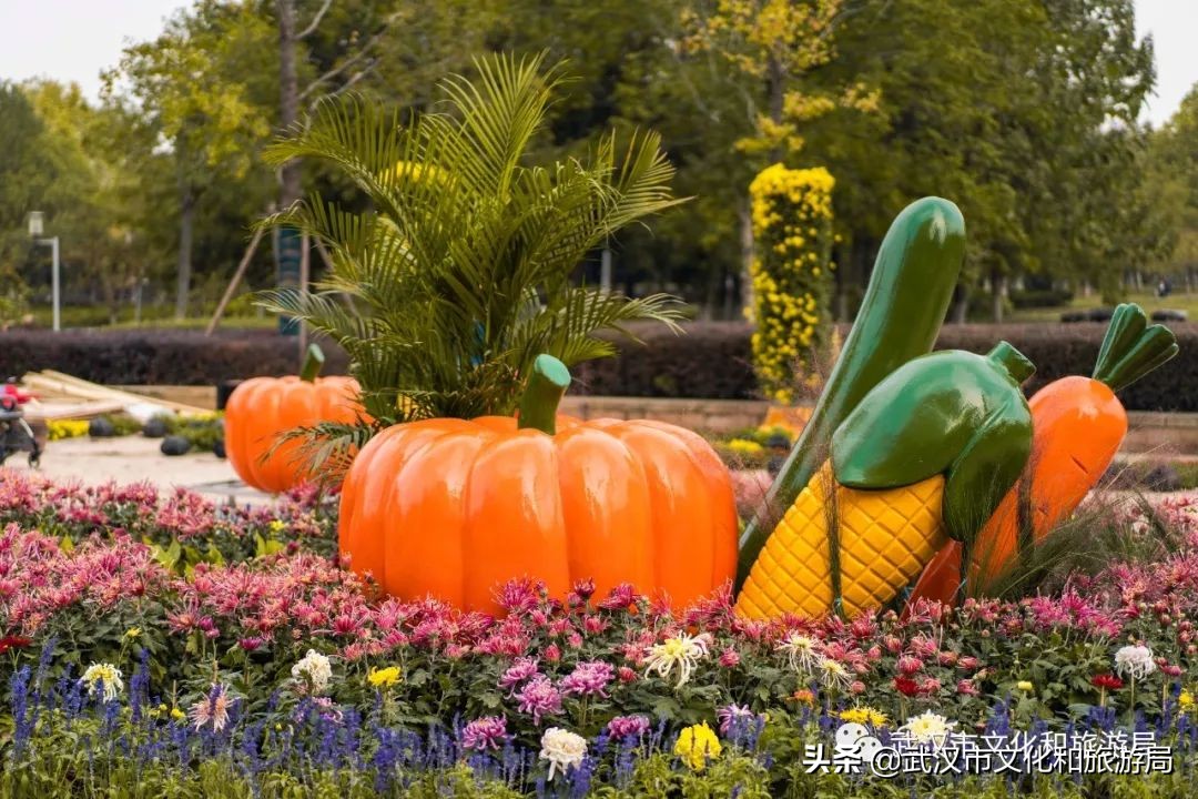 花点时间武汉东湖樱花园,武汉花点时间
