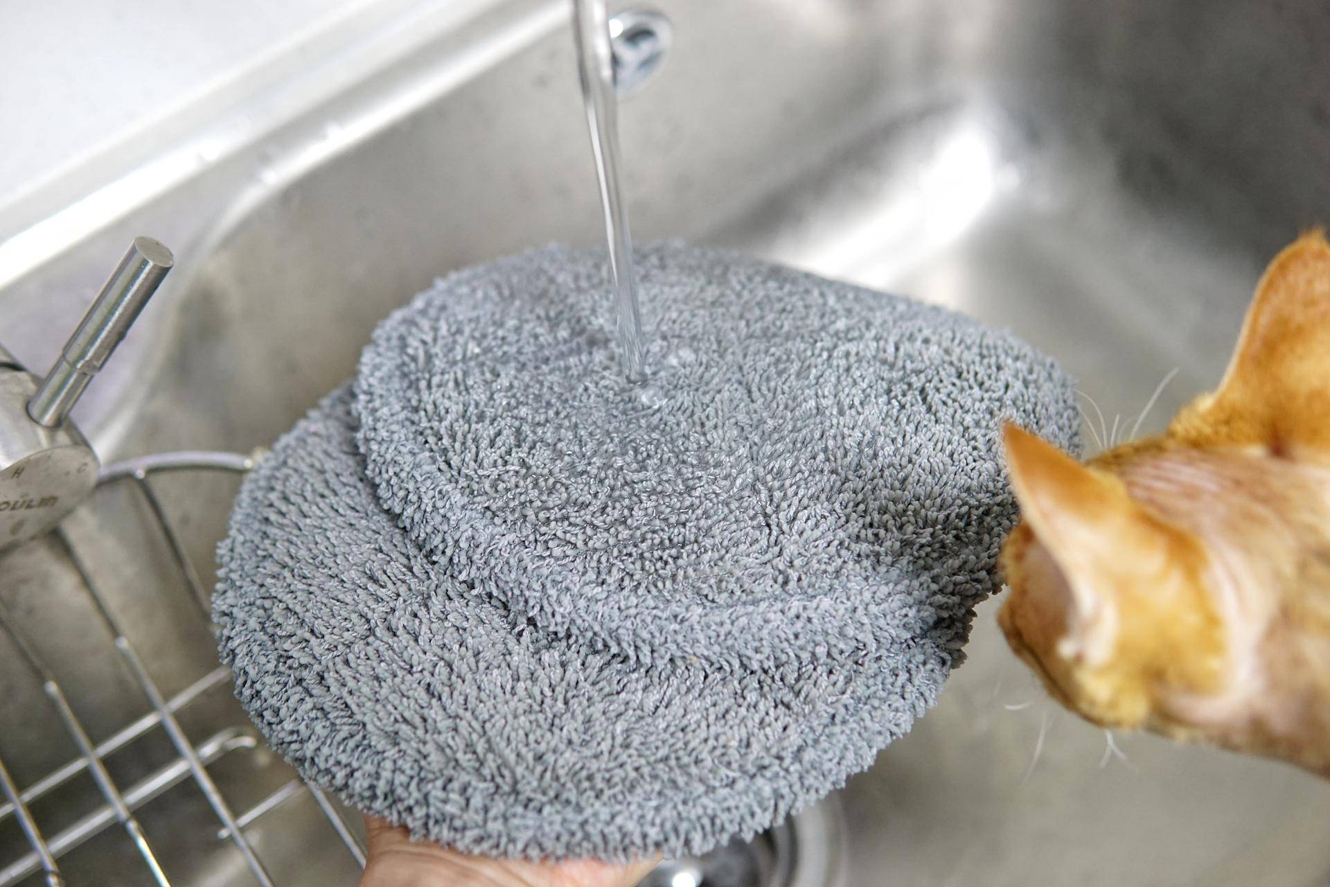 德国蓝宝拖把拖地,拖地洗地一体机测评