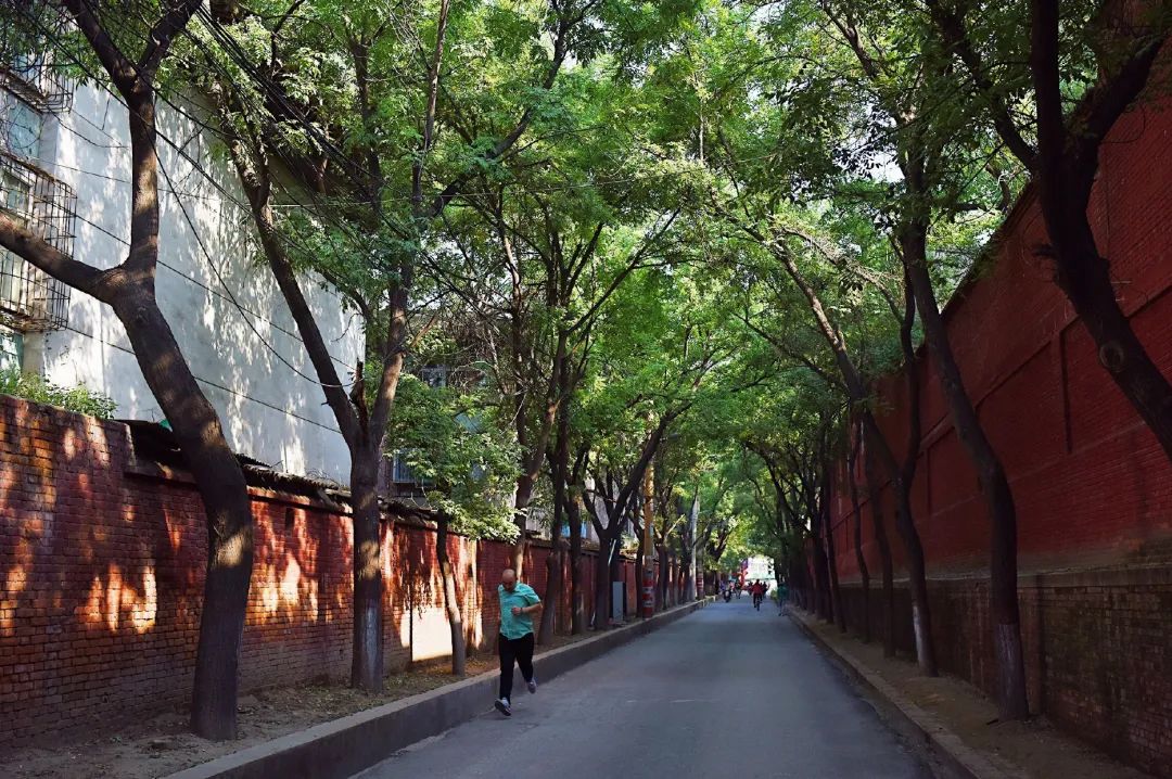 骑28自行车,骑自行车去俄罗斯老宋