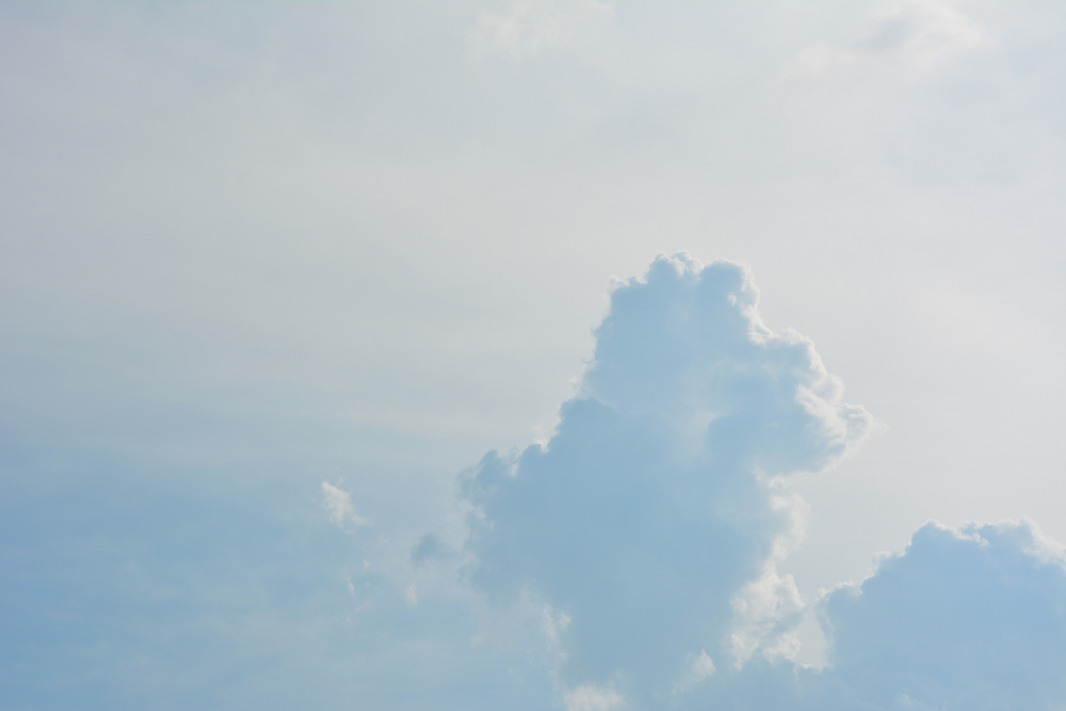 设计师福利模板,设计师必备100件用品