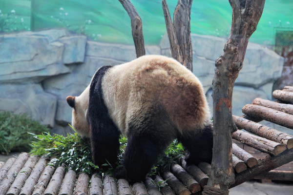 春游江淮请你来滁州版,春游江淮等您来