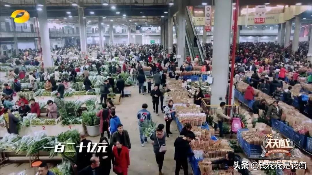 花卉市场购物,亚洲第一花卉交易市场排名