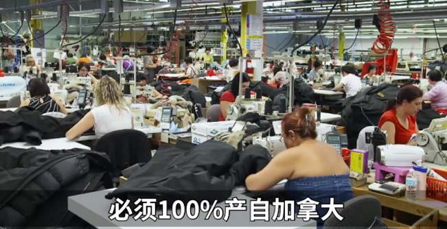 加拿大鹅用的是鸭绒还是鸭毛,加拿大鹅vs波司登羽绒服