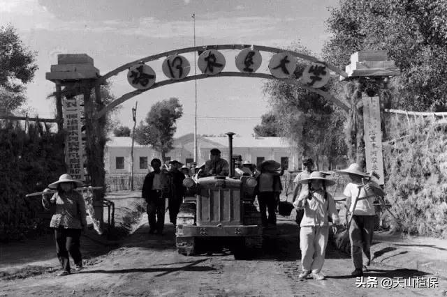 伟大的新疆,伟大的阿勒泰