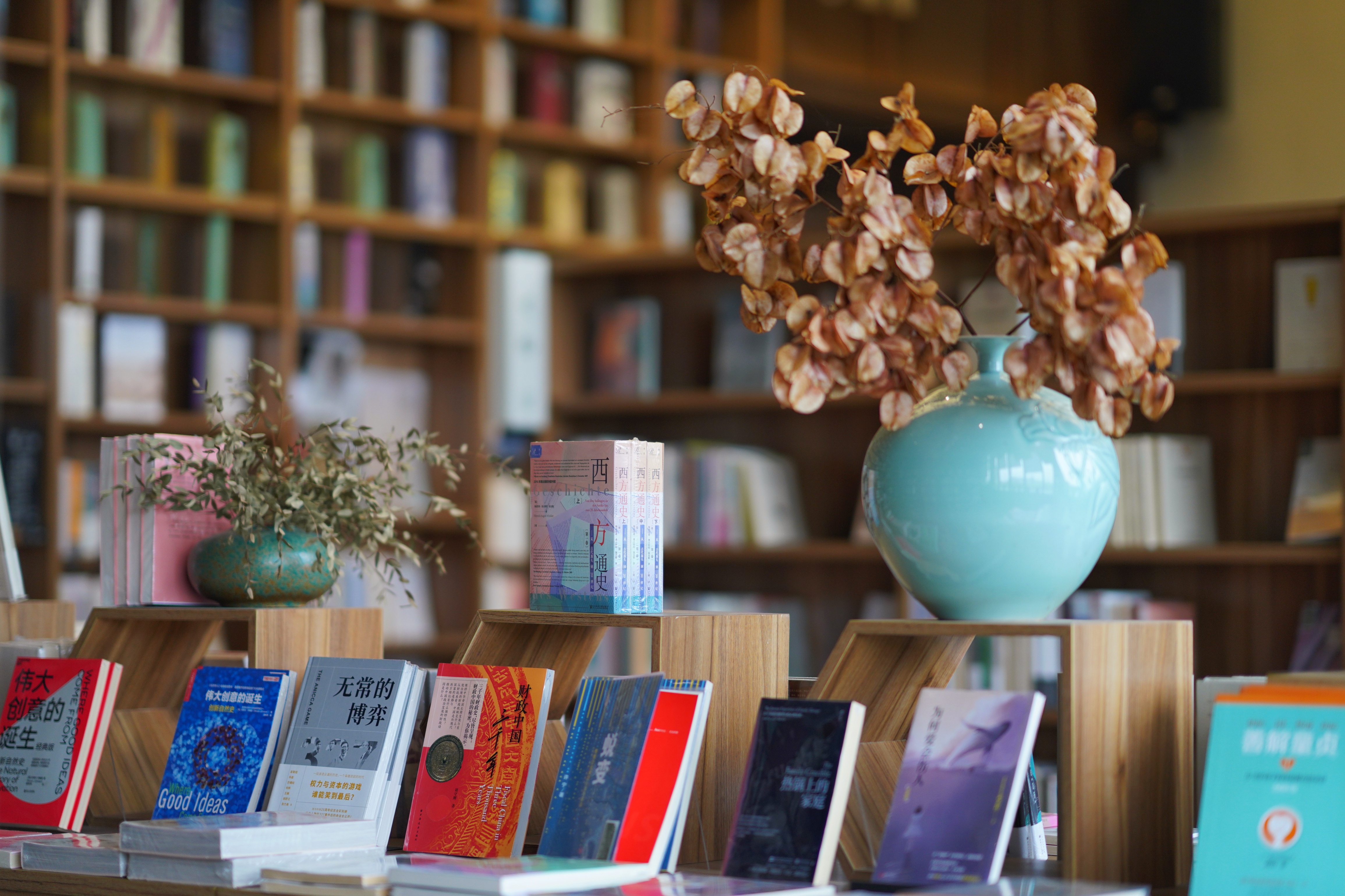 苏州特色民宿推荐,苏州最有特色民宿推荐