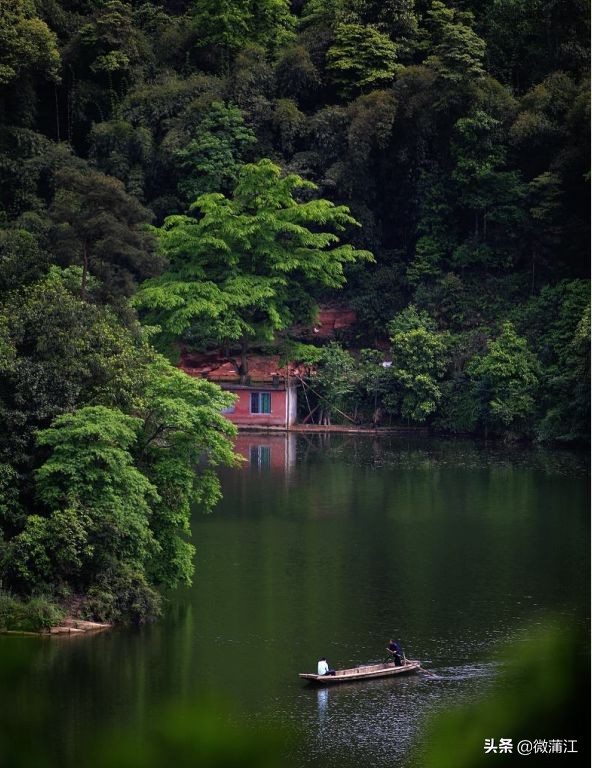 探访深山竹林倍感神清气爽,蒲江遥望雪山感受诗意栖居