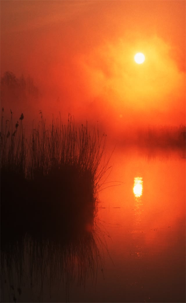 缓解眼睛疲劳动态图壁纸,好看的手机壁纸护眼高清图文