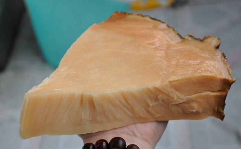 太岁的功效与作用有科学依据,吃传说中的太岁