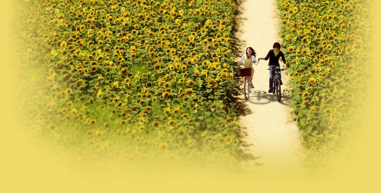 谈恋爱必备英语,谈恋爱各个阶段的英语口语