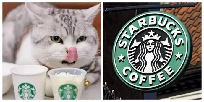 公园式购物中心,购物中心全新购物体验