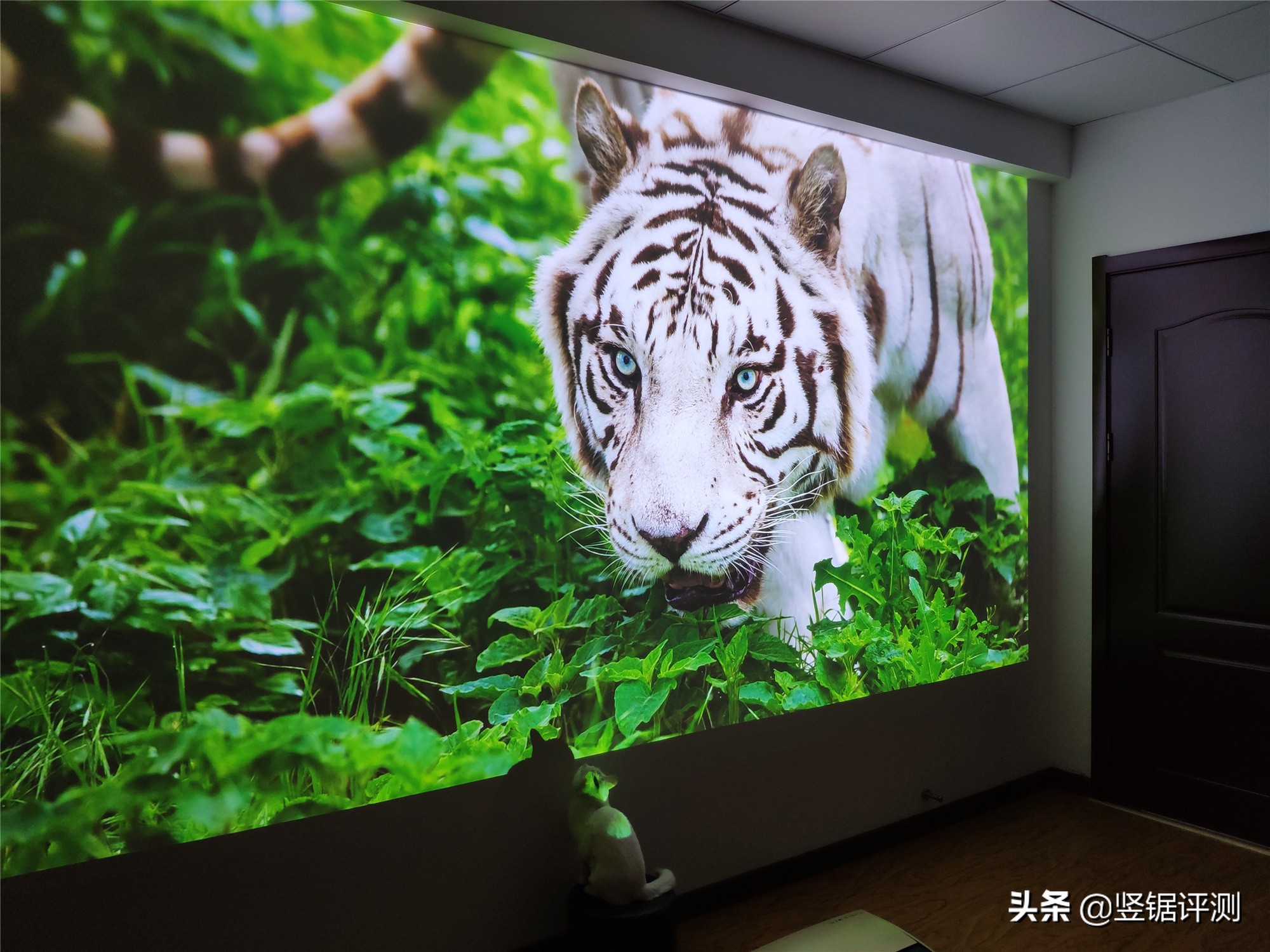 激光电视坚果u1与坚果s3对比,坚果s3激光电视对比s1pro