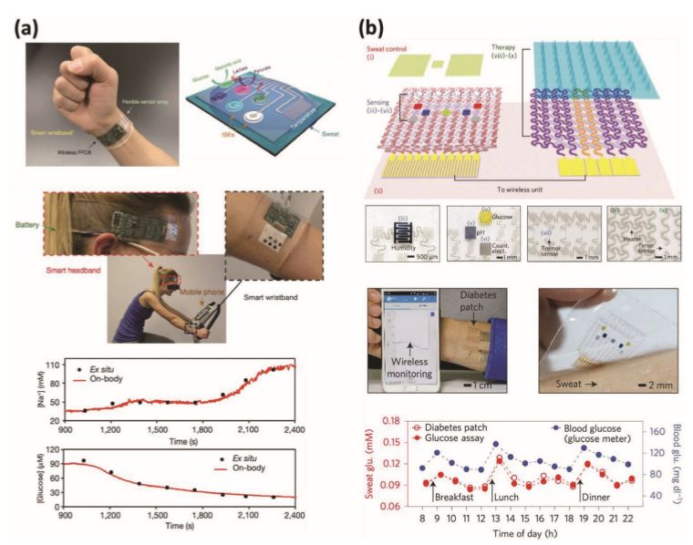 多传感器健康监测系统设计,健康监测系统技术