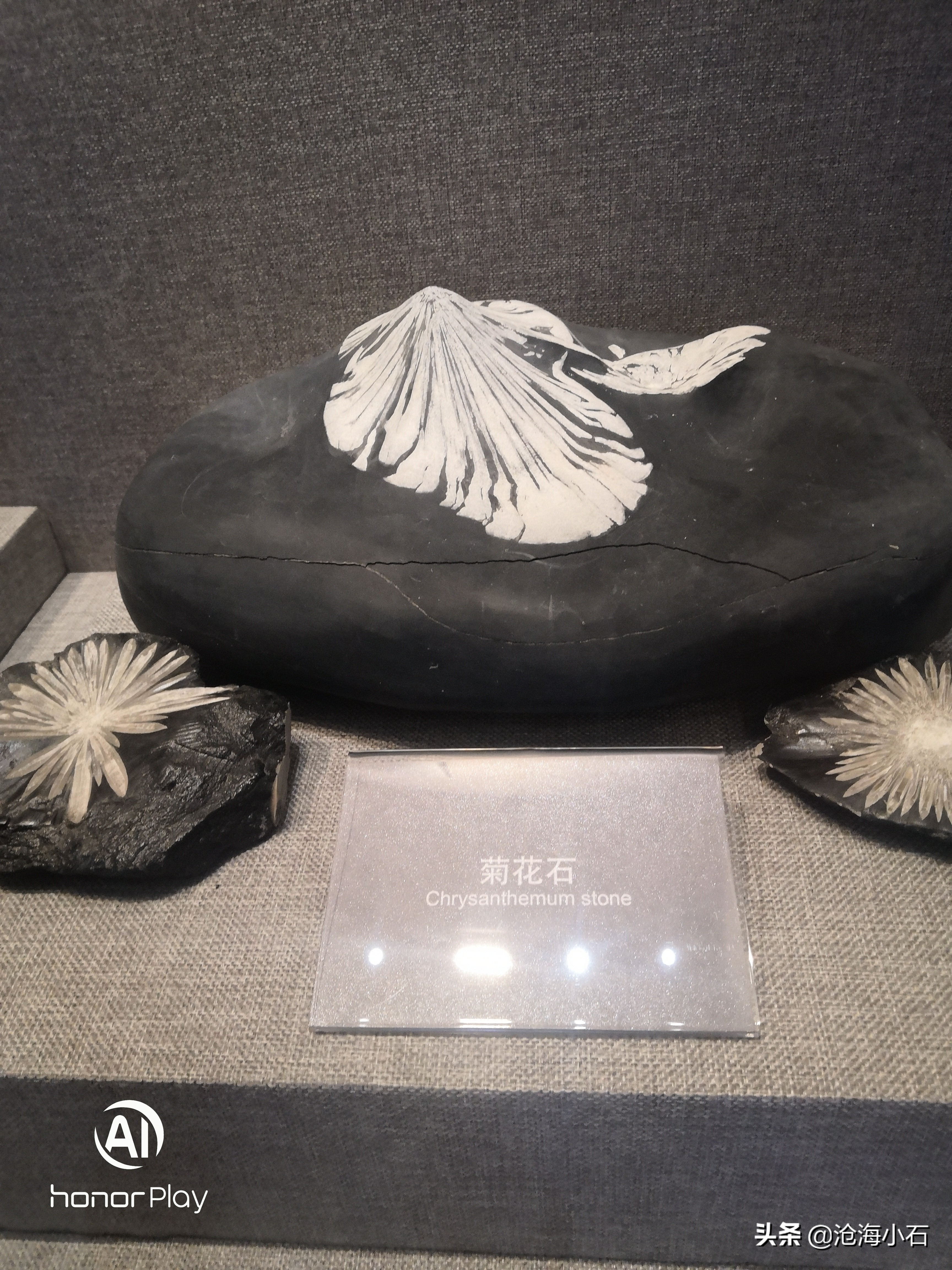 哪些石头不能随便带走,哪些石头不能捡回家