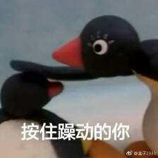 小学生们血泪控诉，QQ今天崩了吗？