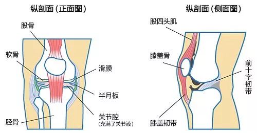 膝盖僵硬,关节疼痛,腿使不上劲儿?中医+西医6种方法帮你解决