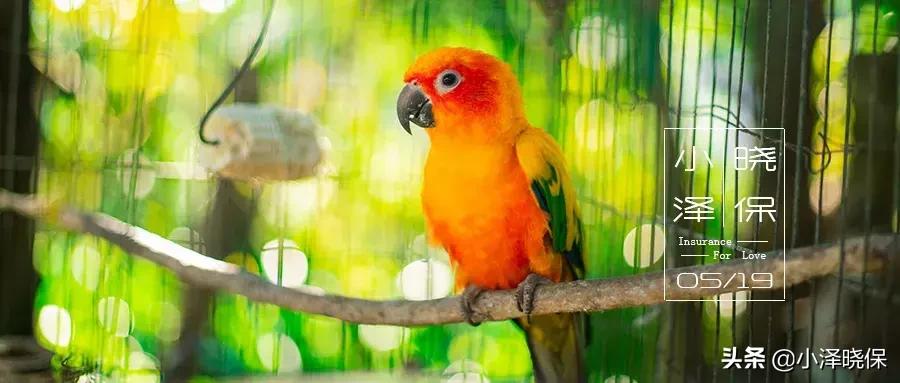 入职选择保险经纪机构,为什么选择保险经纪