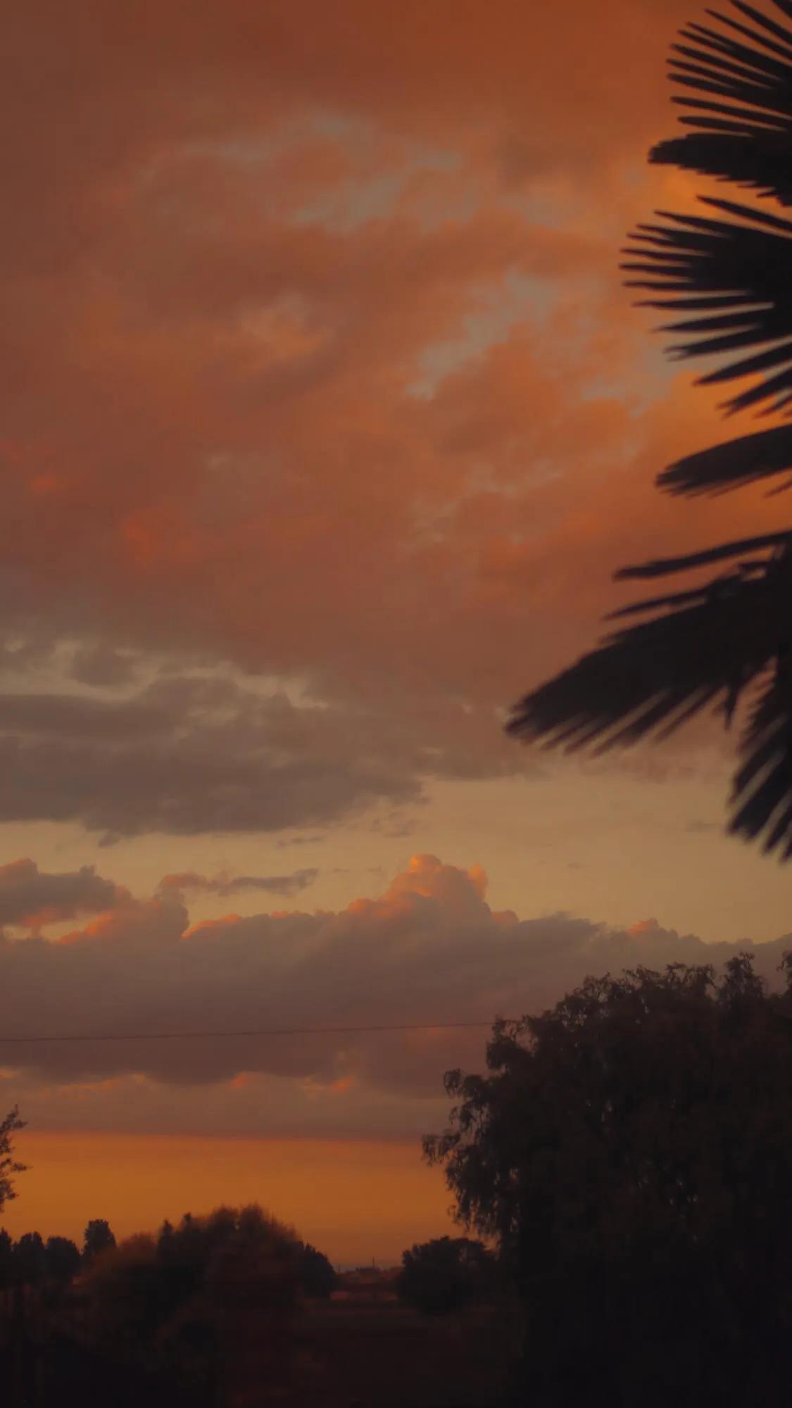 新手小白选哪个平台做跨境电商,亚马逊跨境电商快卖通怎么做