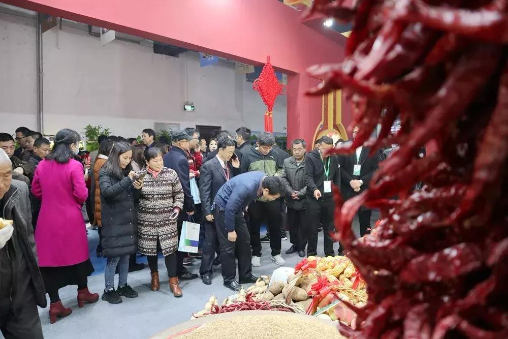 永城面博会策划,永城面博会照片