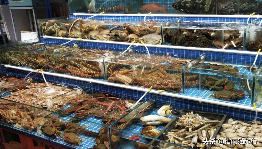 夏天去哪个海边吃海鲜最合适,适合吃货去的海边城市