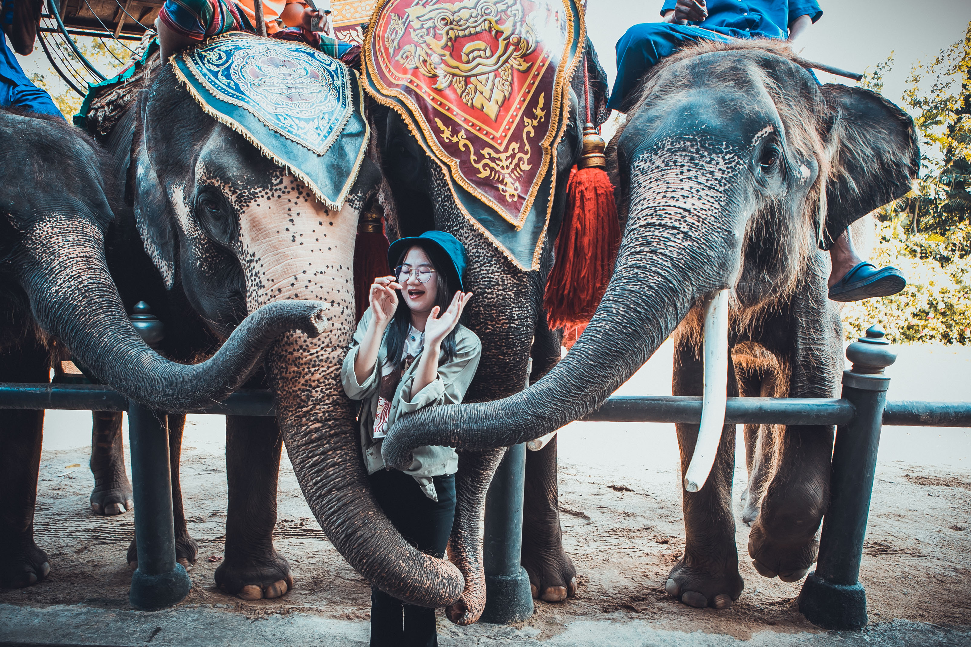 大象在泰国和印度象征着什么,大象是泰国的象征英语