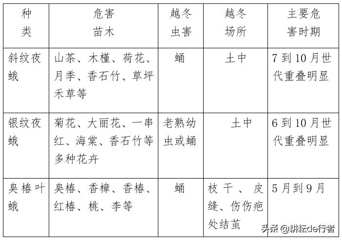 常见园林草坪病虫害杀菌剂有哪些,园林植物常见病虫害ppt
