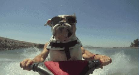 重庆宜家什么值得买,重庆宜家购物必买