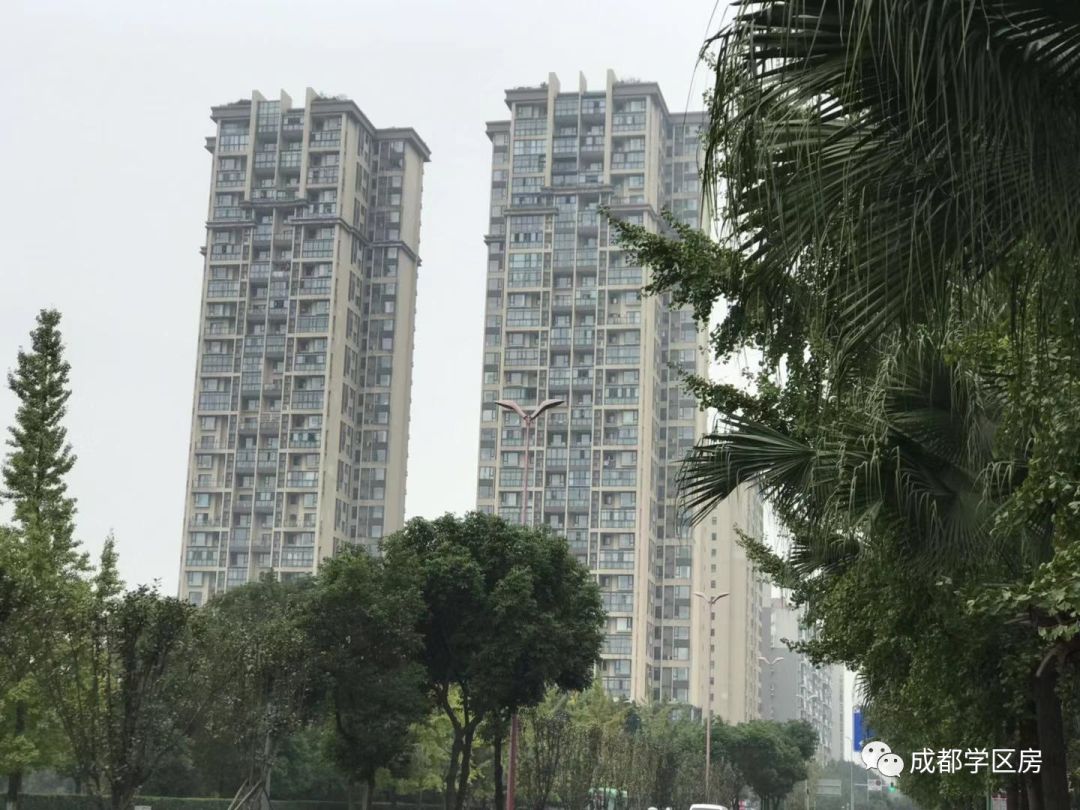 和泡小非常像的一个分校之最全盘点！​