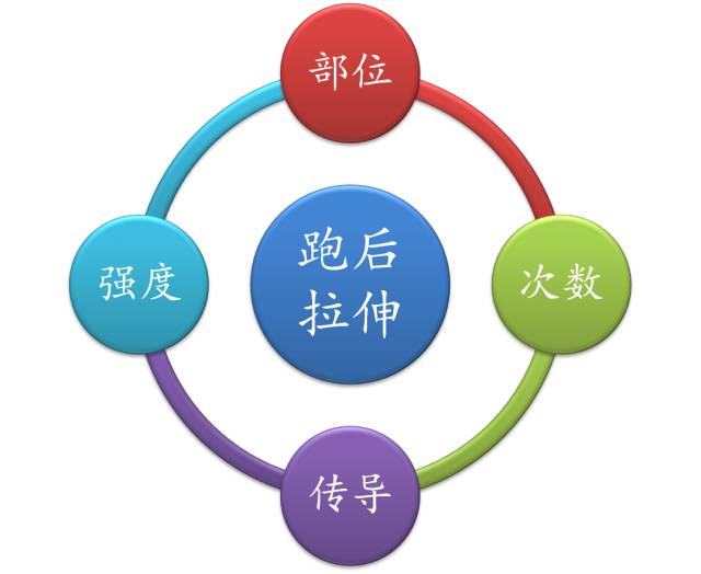 5公里跑后拉伸动作,跑后拉伸详细教程