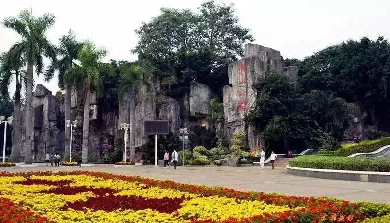 深圳免门票景点推荐,深圳市内近20个景点一票通玩