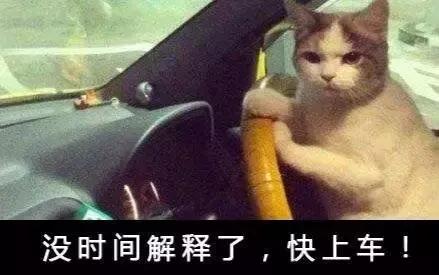 这车是上啊、上啊还是上啊；是下啊、下啊还是下啊