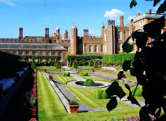 北方庭院室外耐寒植物,庭院驱蚊效果最好植物