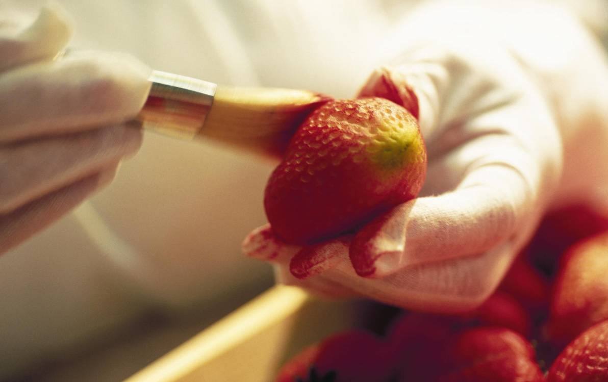 复配添加剂和复配食品添加剂,复配食品添加剂的标签的国家标准