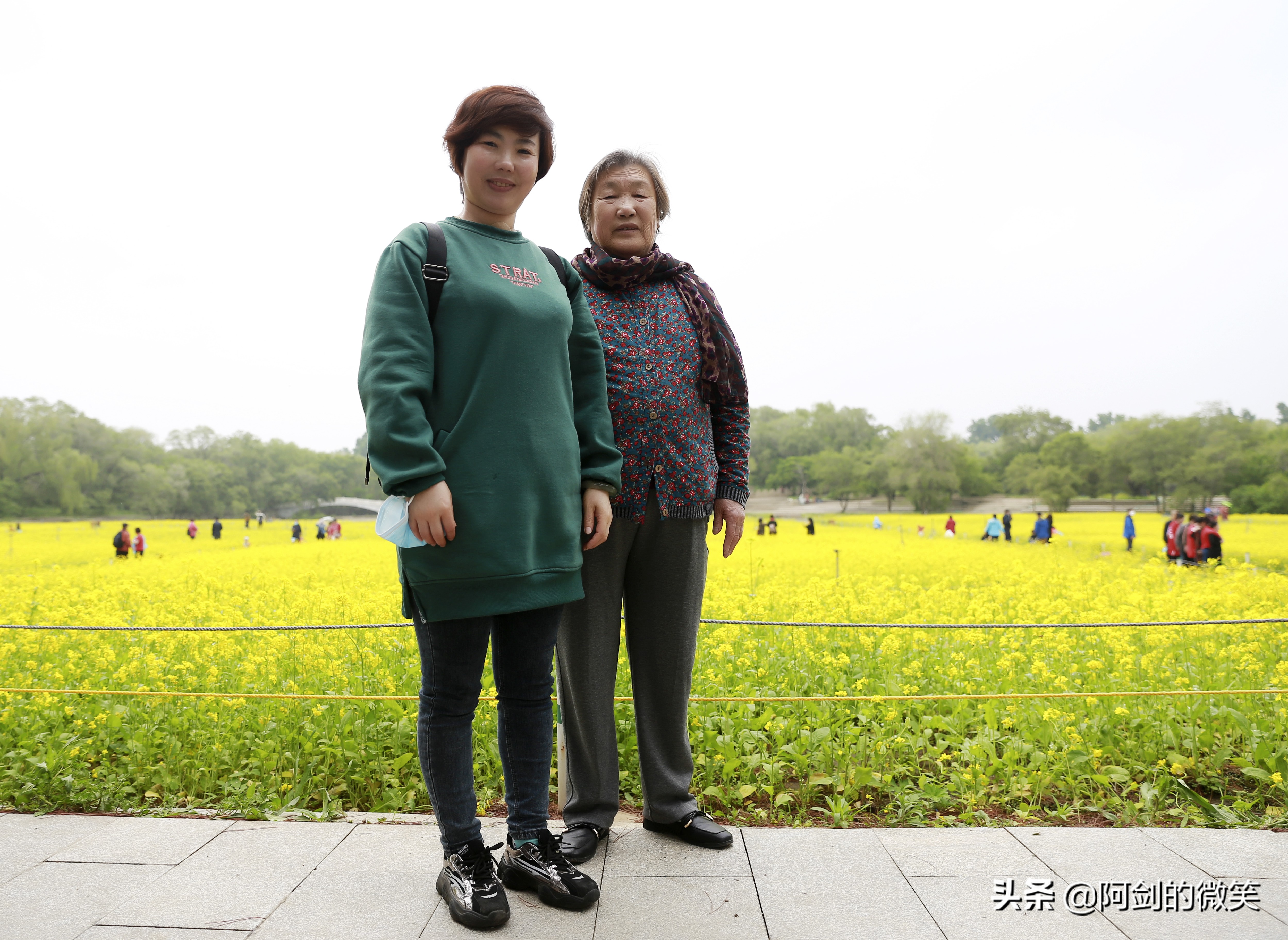 沈阳十一假期哪里有花海,沈阳玫瑰小镇温泉花海两日游