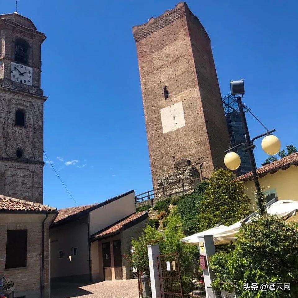 世界醉强合作社是怎样炼成的